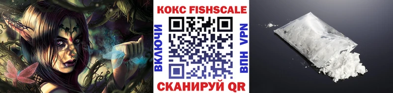 COCAIN Fish Scale Купить закладки Димитровград