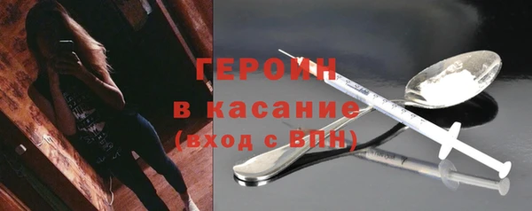 индика Новозыбков